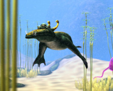 SPORE